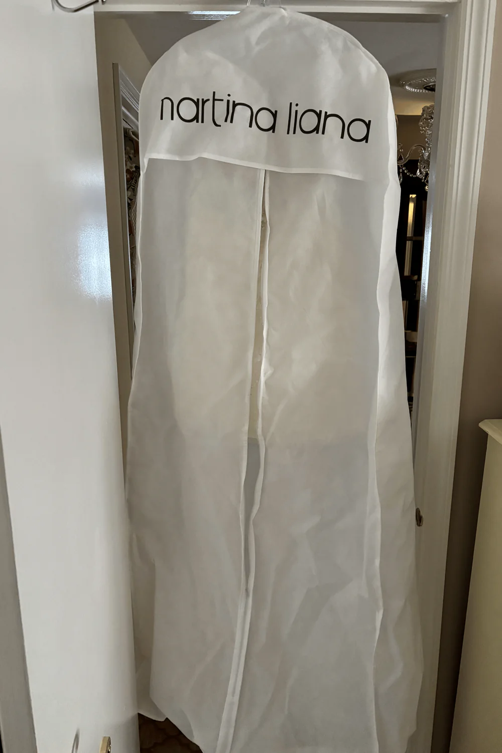 1599 Dress Only - Image 5