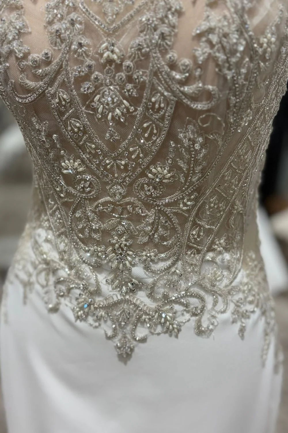 2497 (Philipa) - Image 6