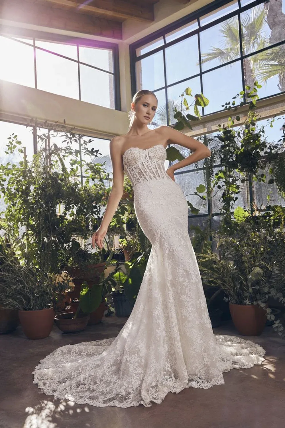 2529 (Gigi)