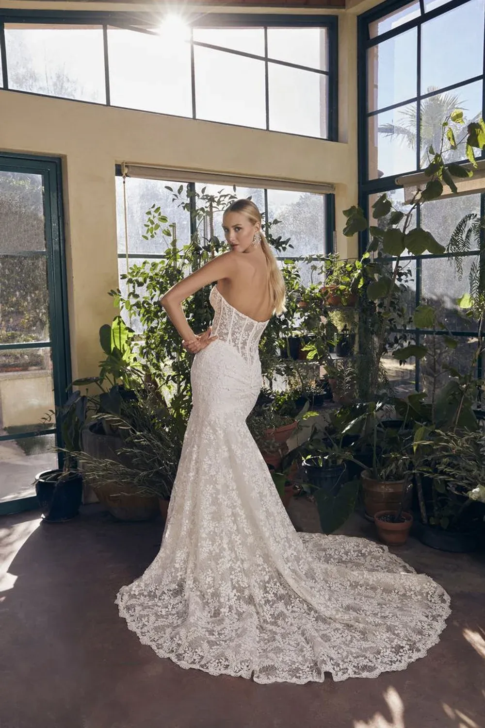 2529 (Gigi) - Image 2