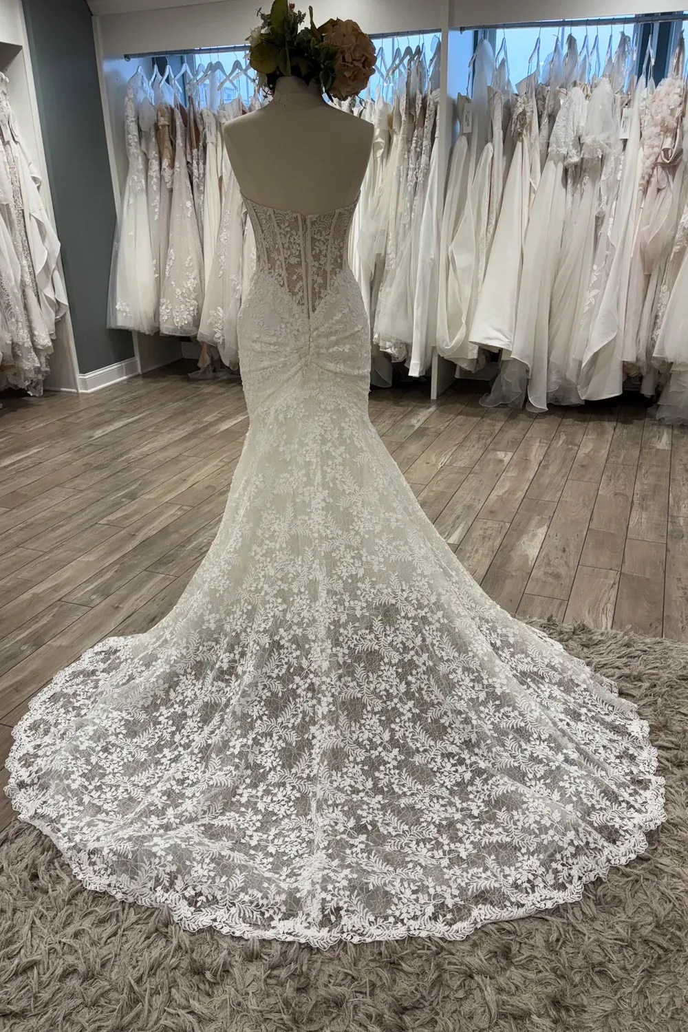 2529 (Gigi) - Image 5