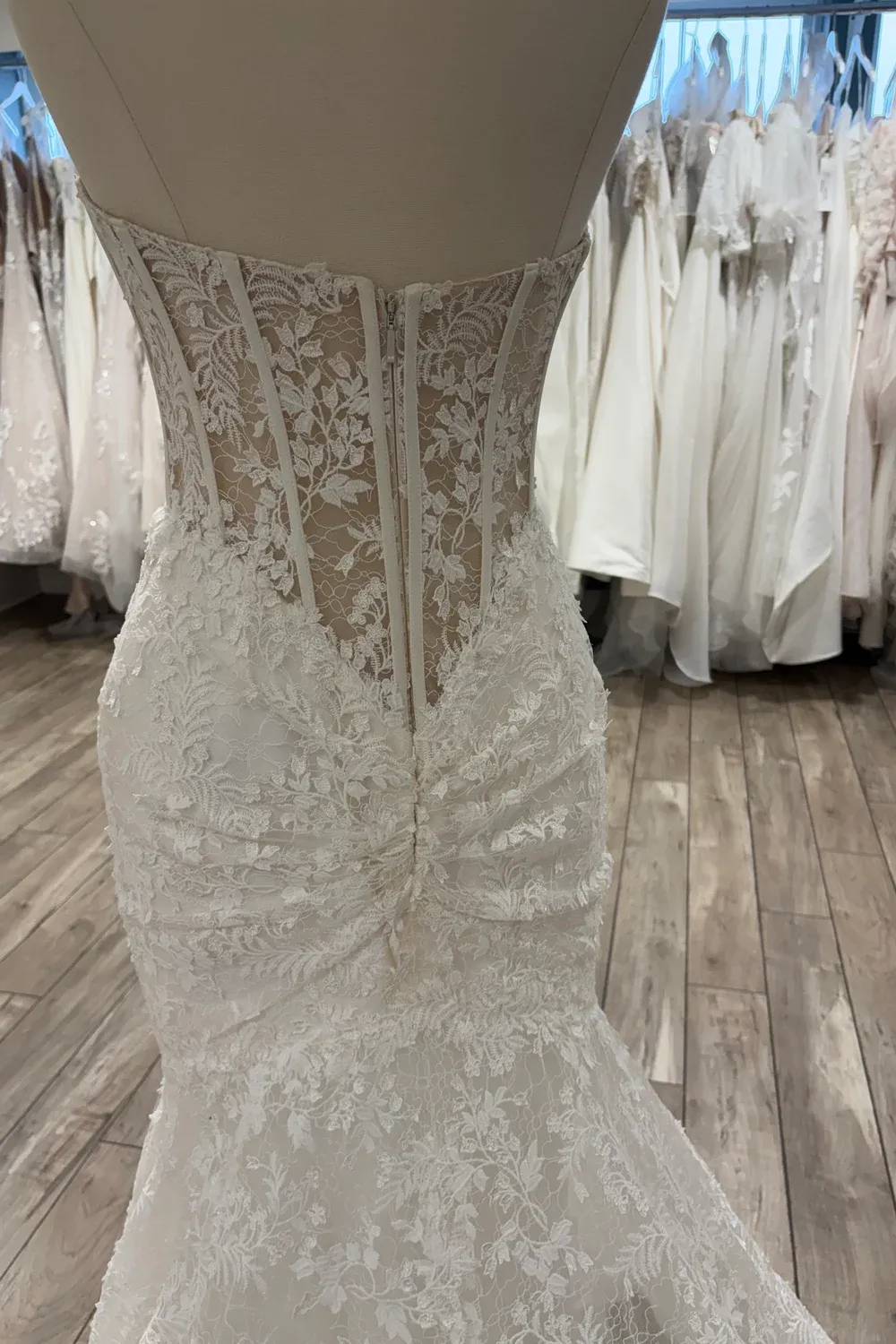 2529 (Gigi) - Image 6