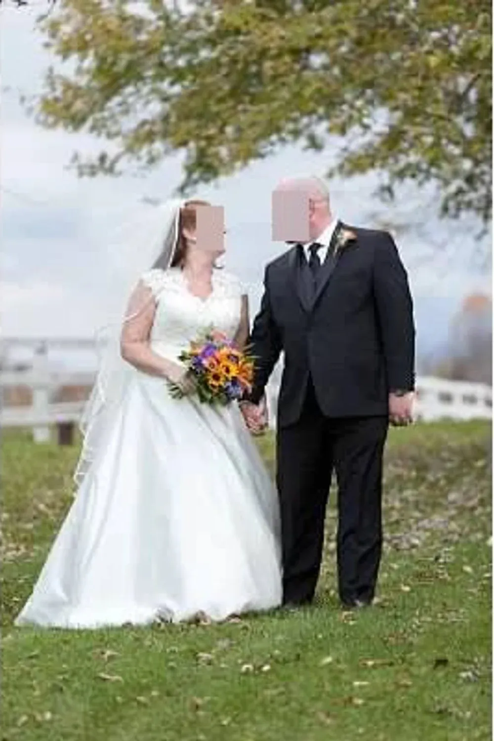 2558 - Image 3