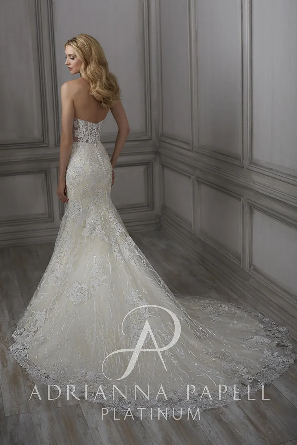 31063 with Veil - Image 2