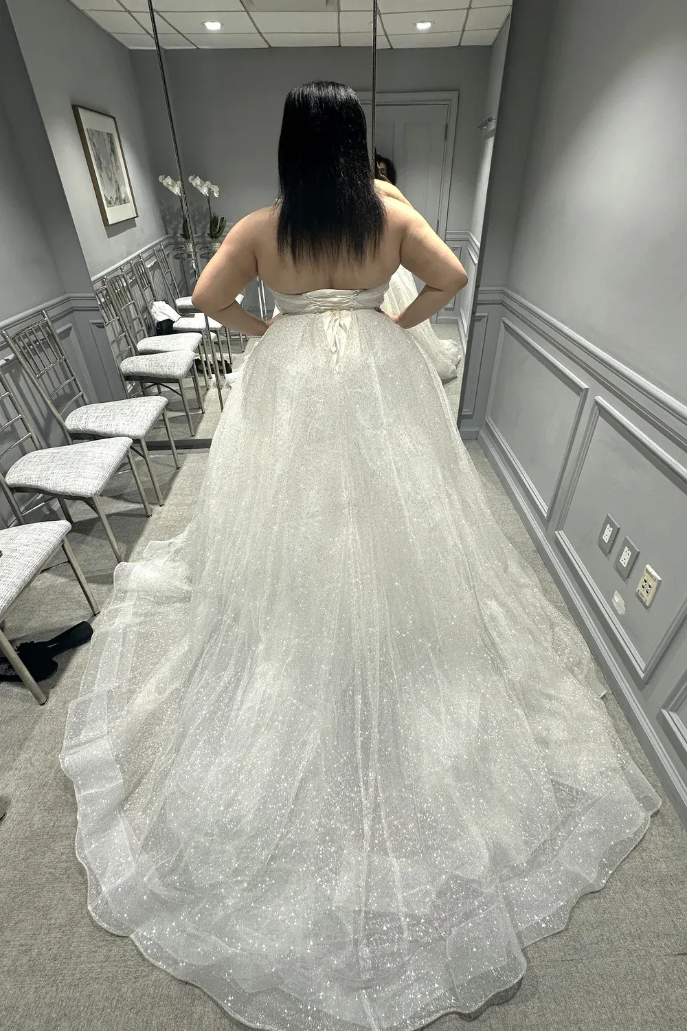 3810 with Veil - Image 2