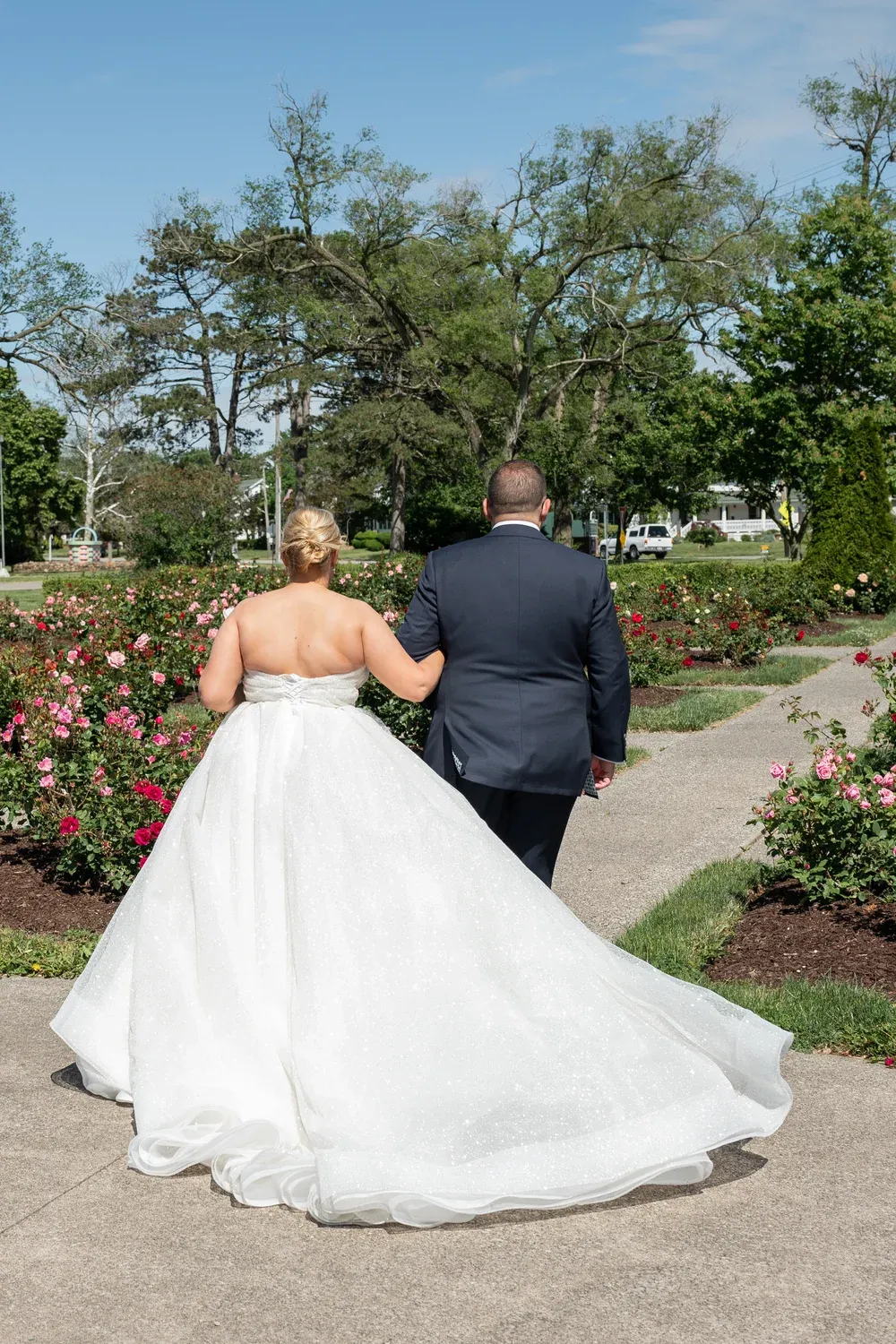 3810 with Veil - Image 6