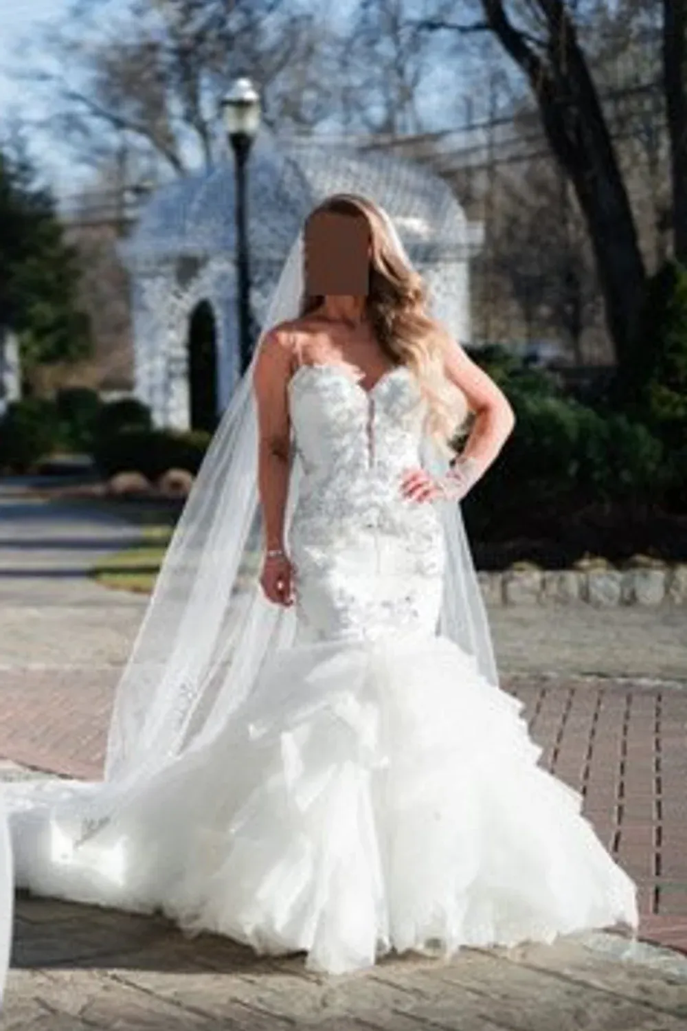 4458 with Veil - Image 4