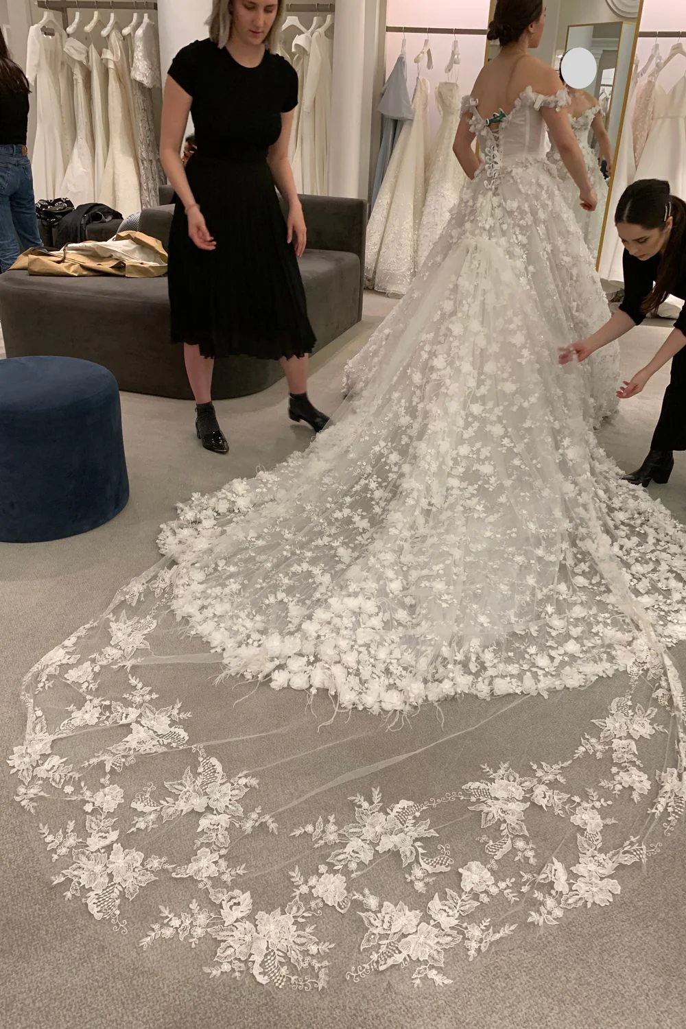 4702 with Veil - Image 3