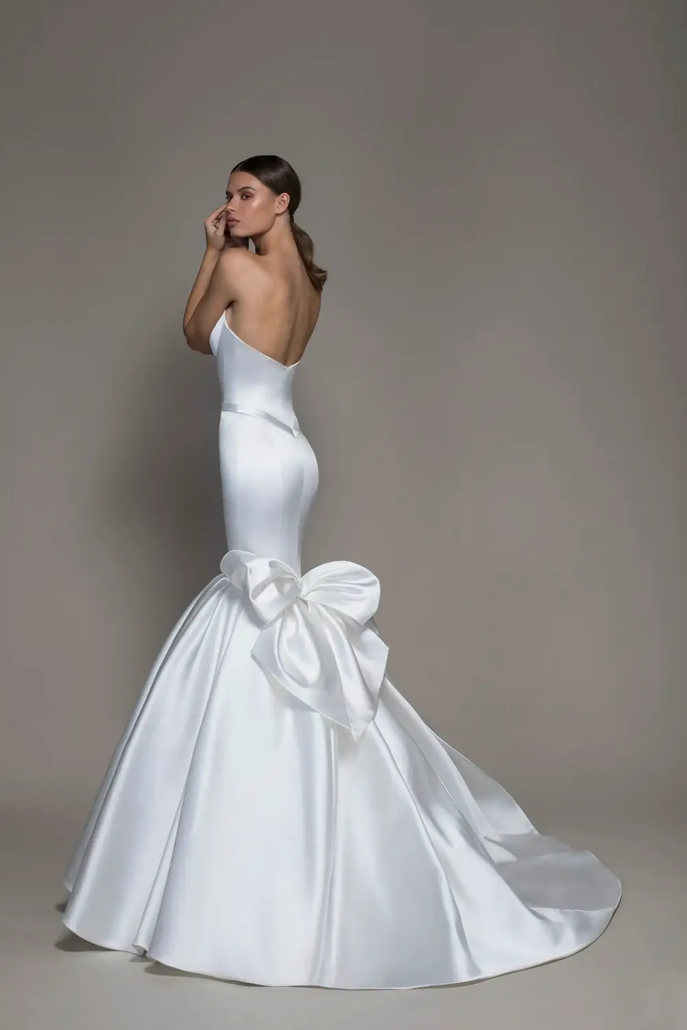 4789 with Veil - Image 2