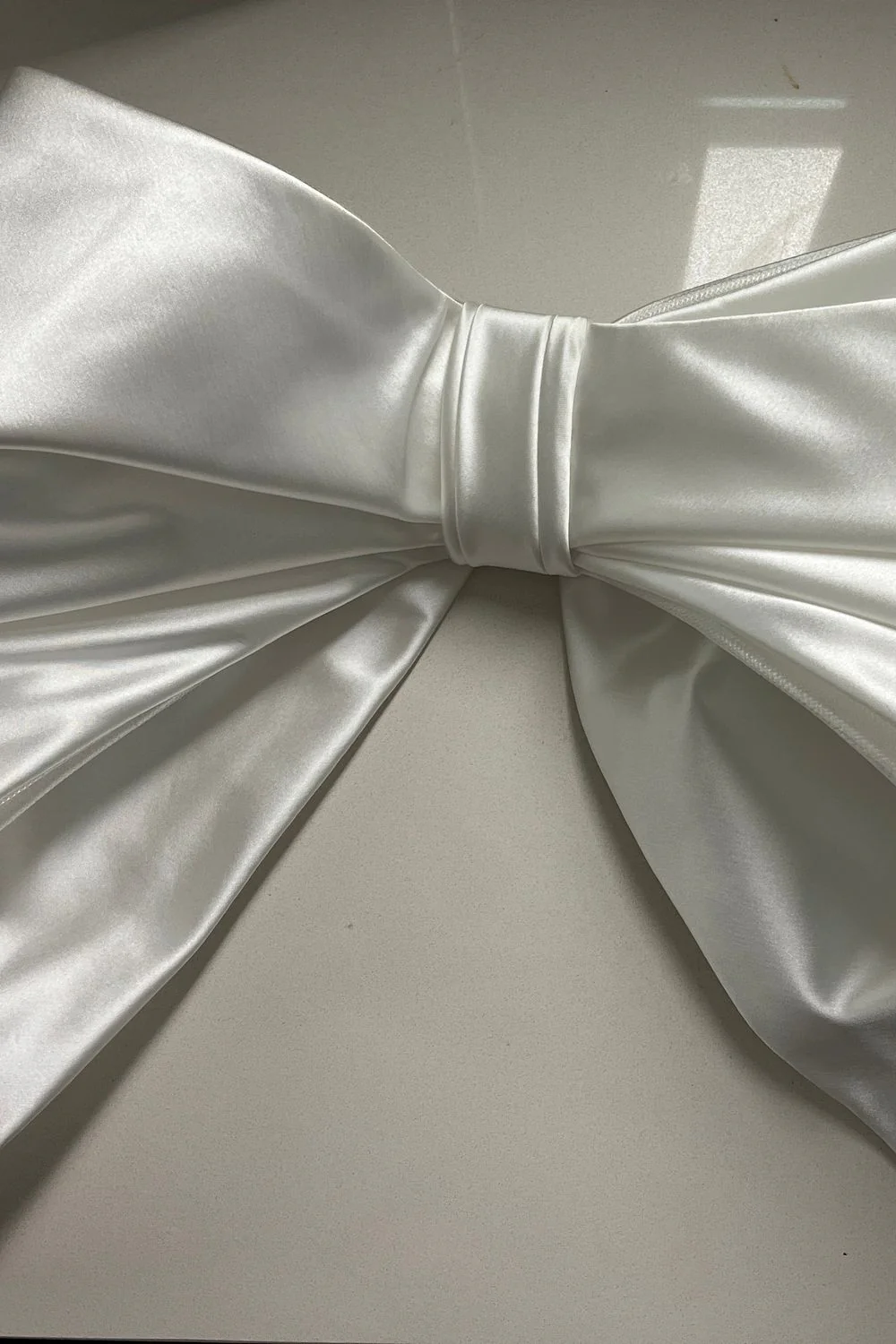 4789 with Veil - Image 5
