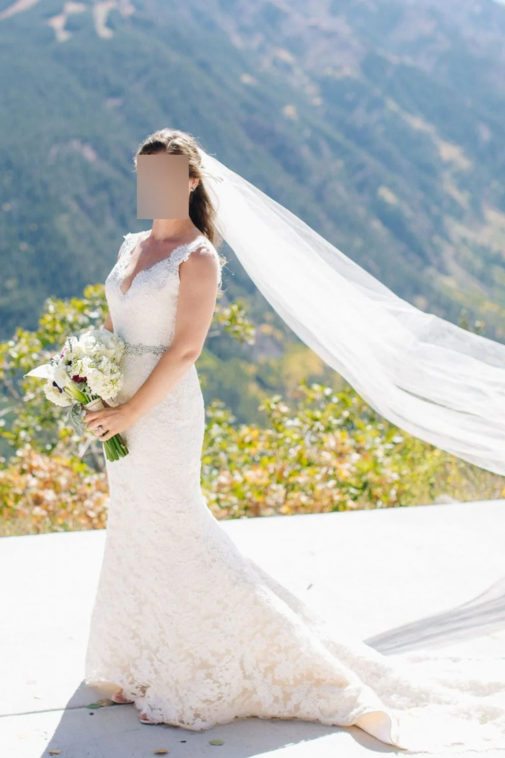 9412 with Veil
