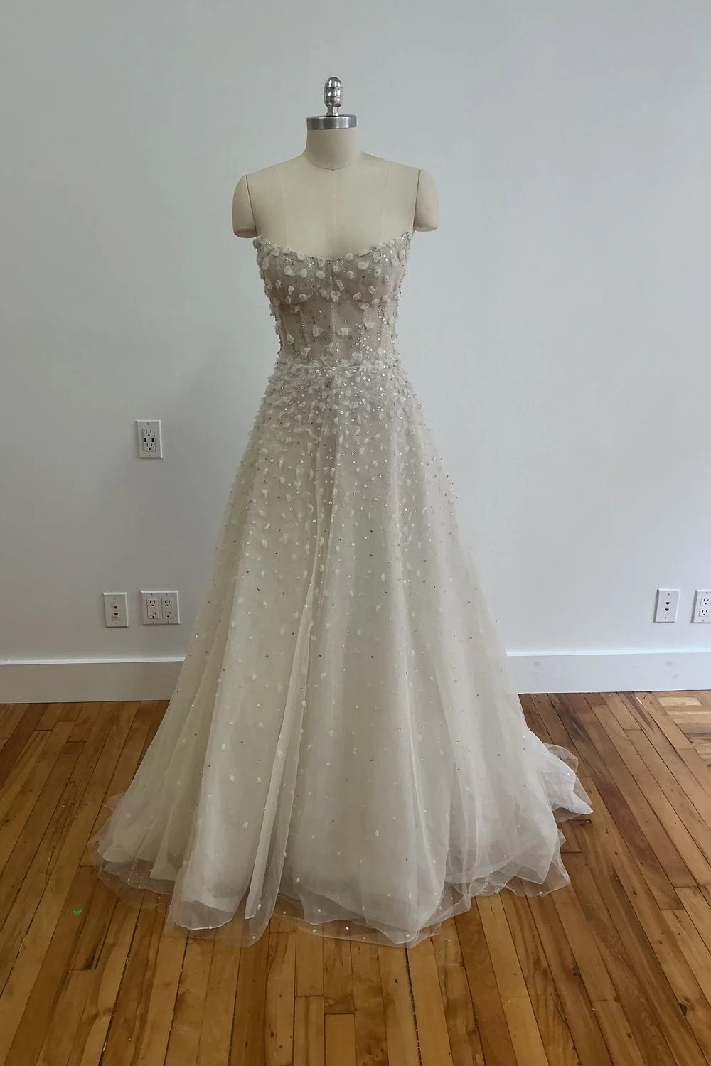 Aimee - Image 3