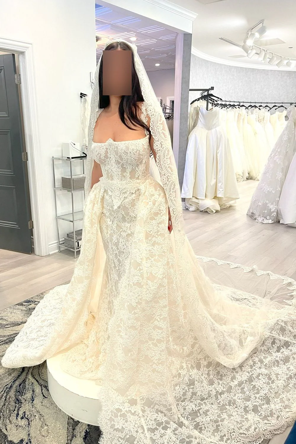 Anais with Overskirt and Veil - Image 5