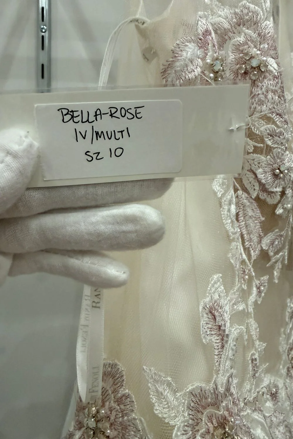 Bella Rose - Image 5