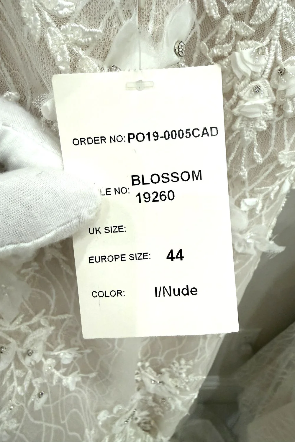 Blossom - Image 5