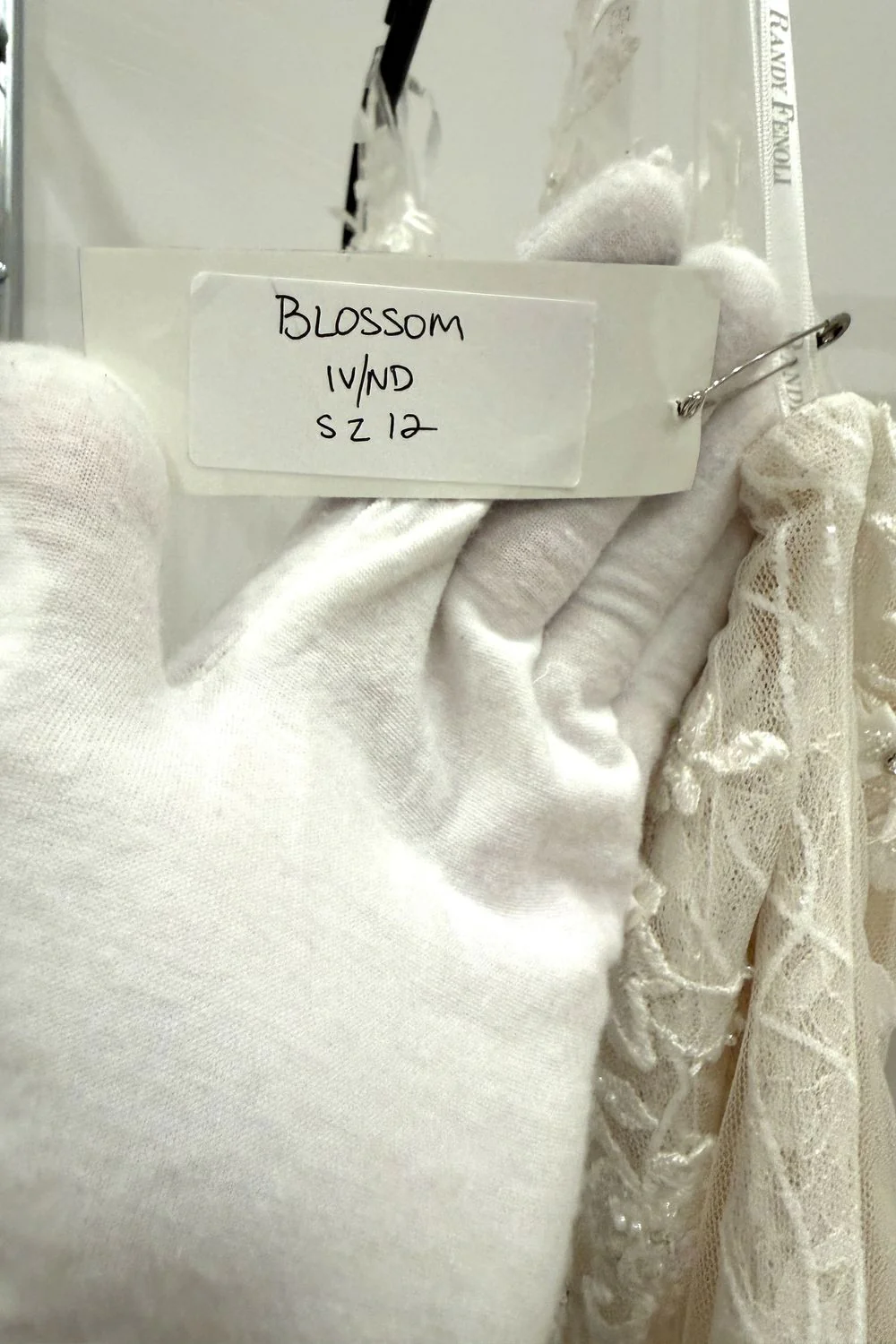 Blossom - Image 5