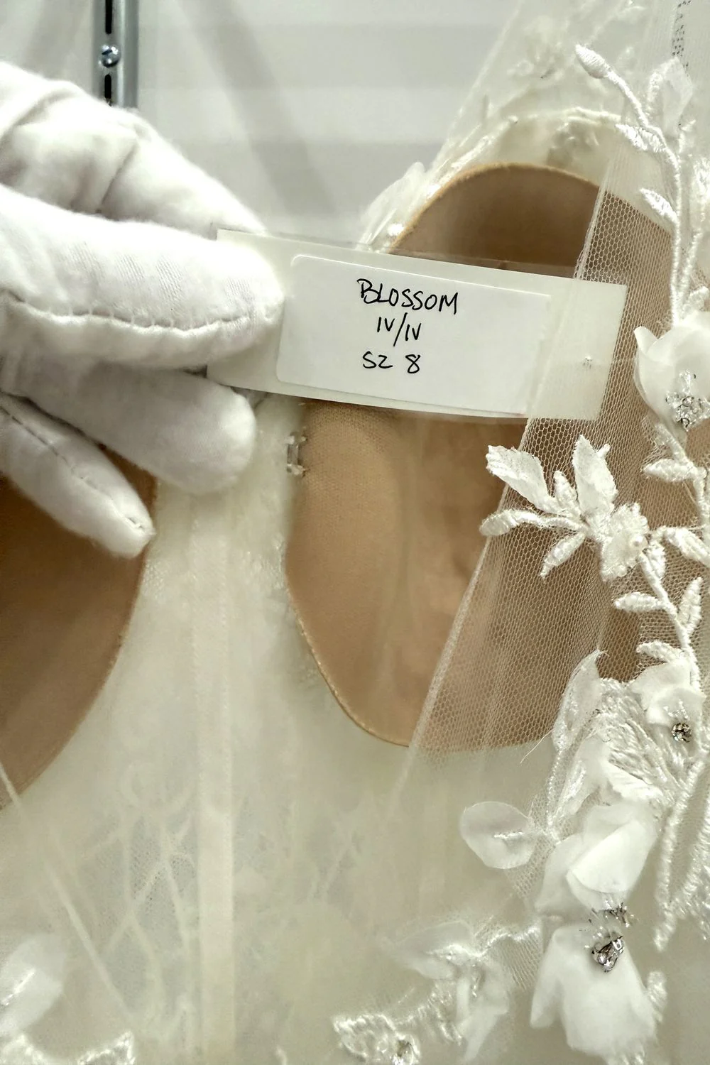 Blossom - Image 5