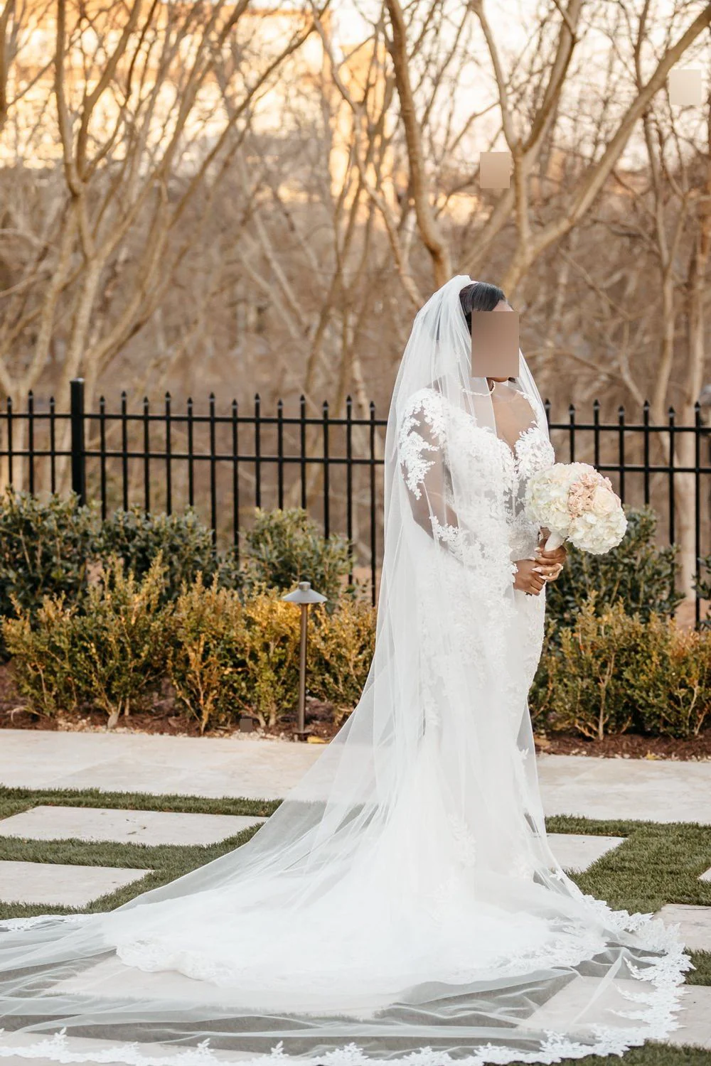Brie with Veil
