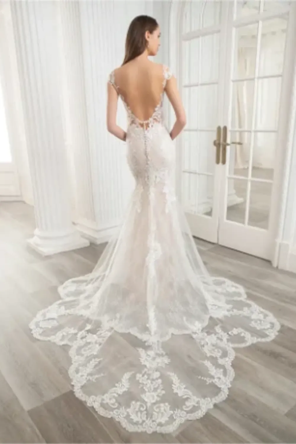 Cameron with Veil - Image 4