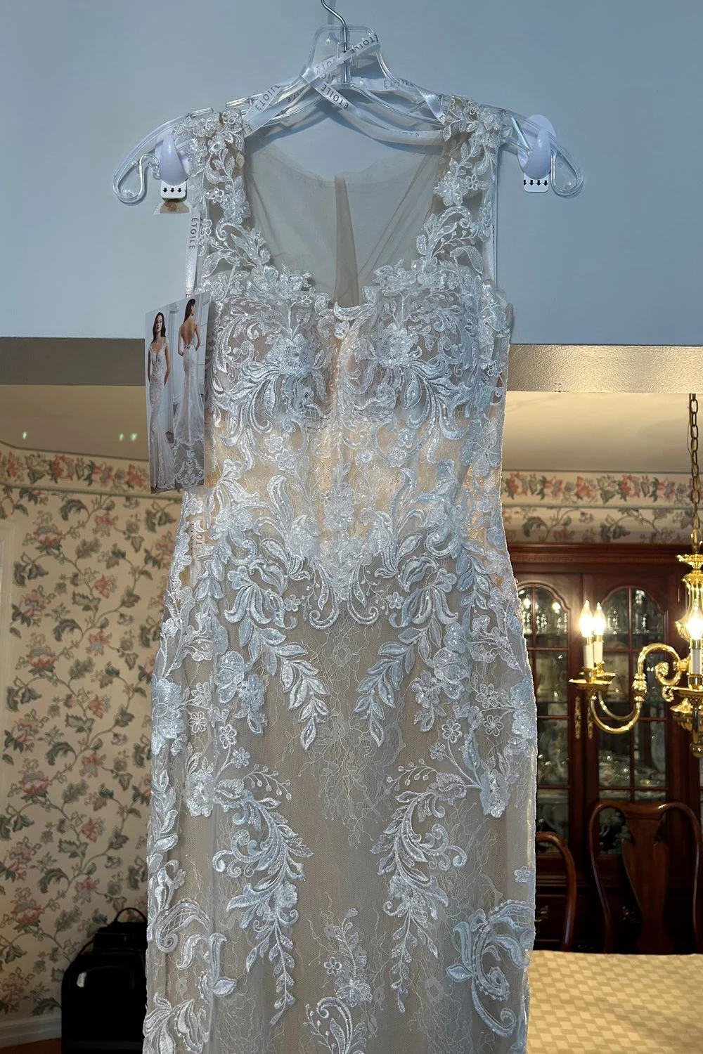 Cameron with Veil - Image 5