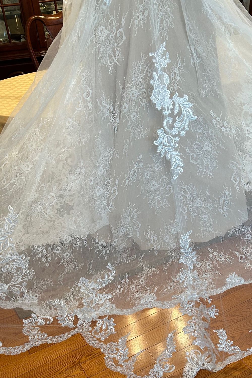 Cameron with Veil - Image 8