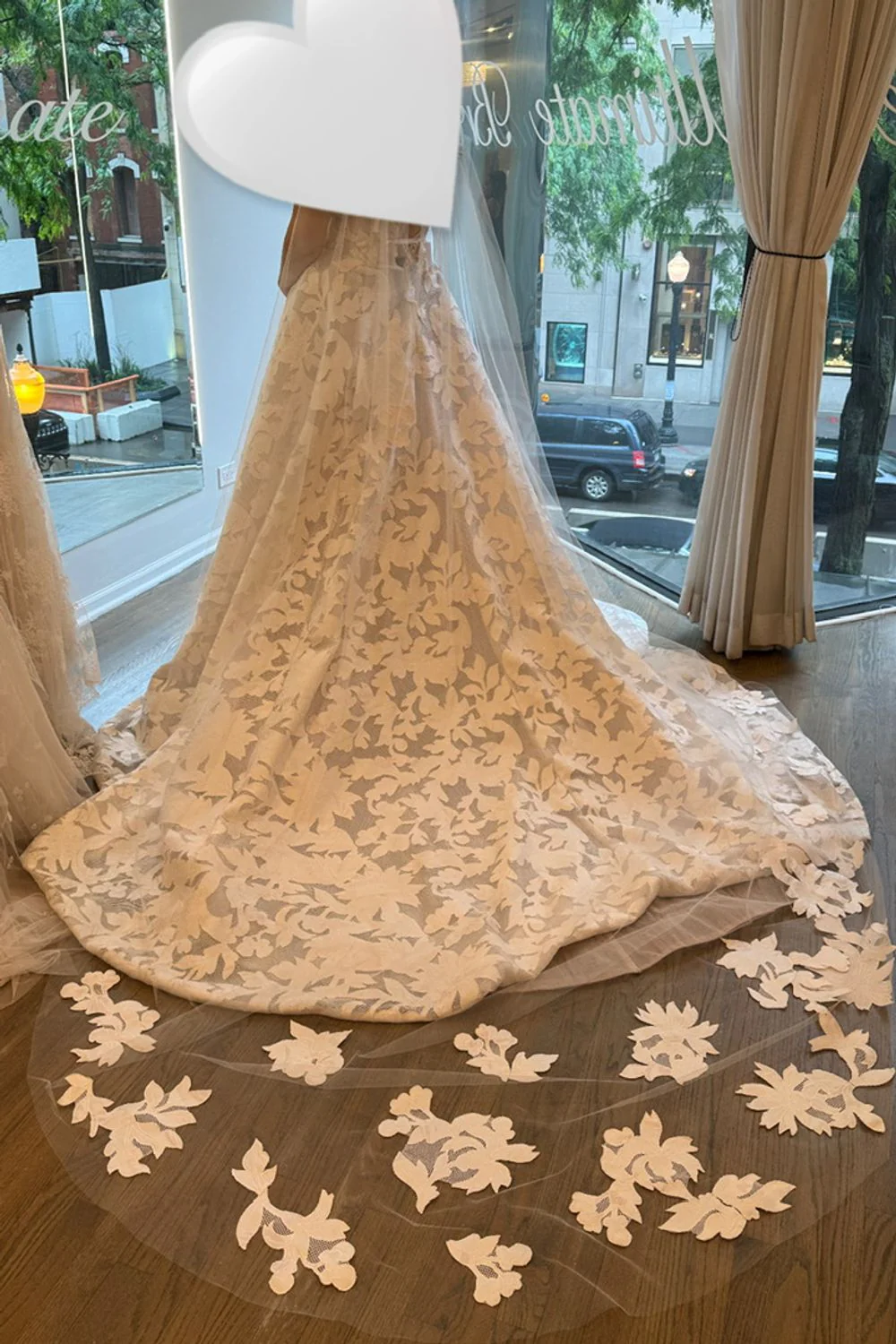 Canto with Veil - Image 3
