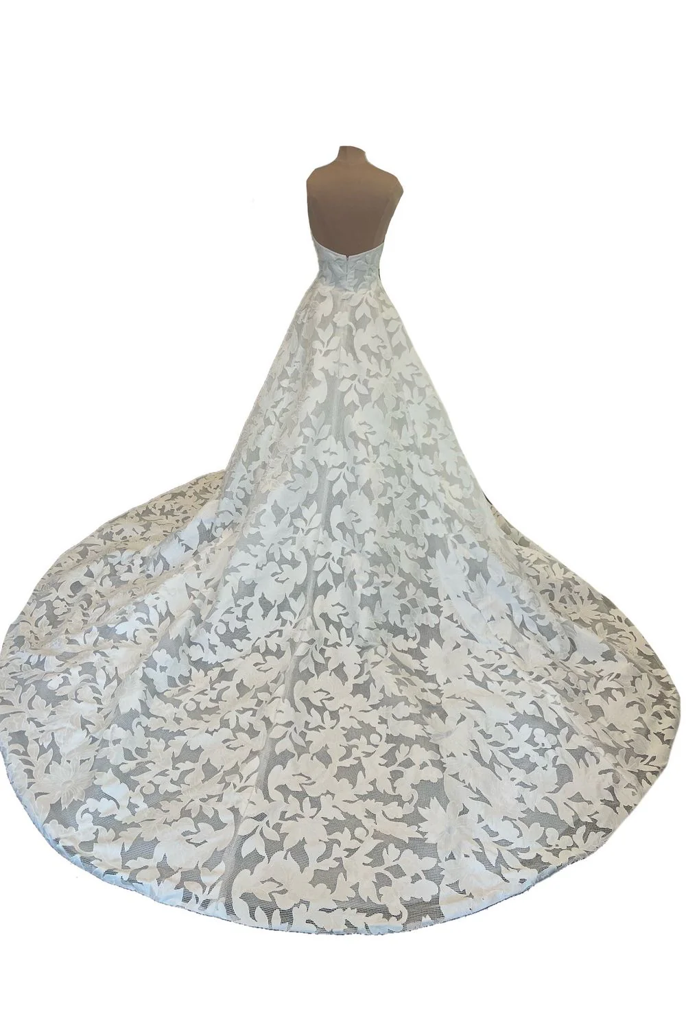 Canto with Veil - Image 5