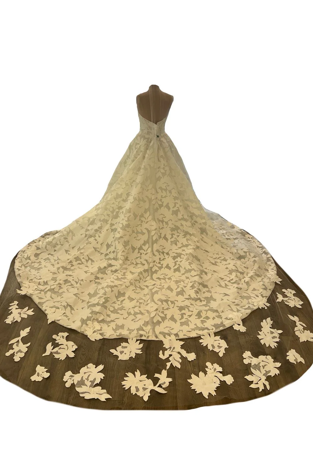 Canto with Veil - Image 7