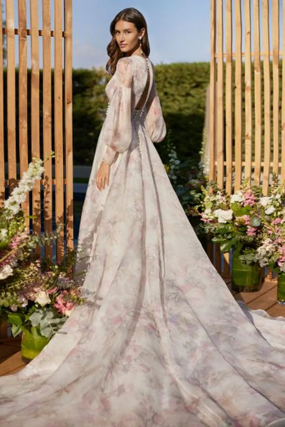 Clisa - Image 3