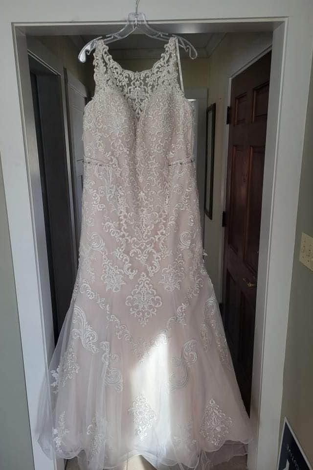 D2534+ - Image 3