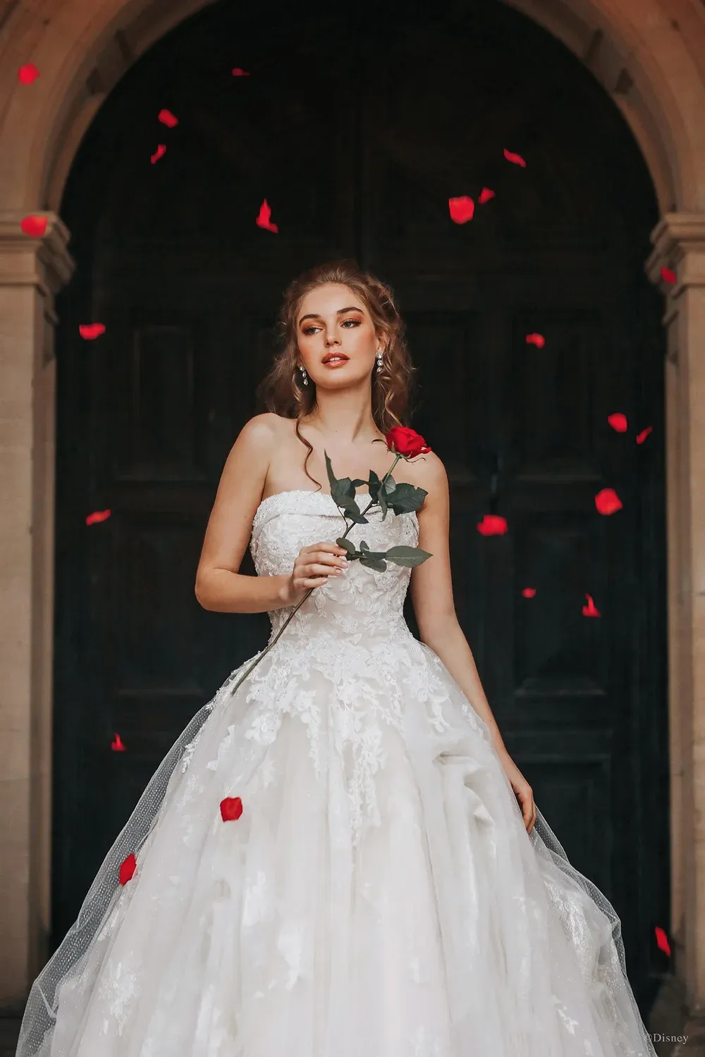 D292 with Veil