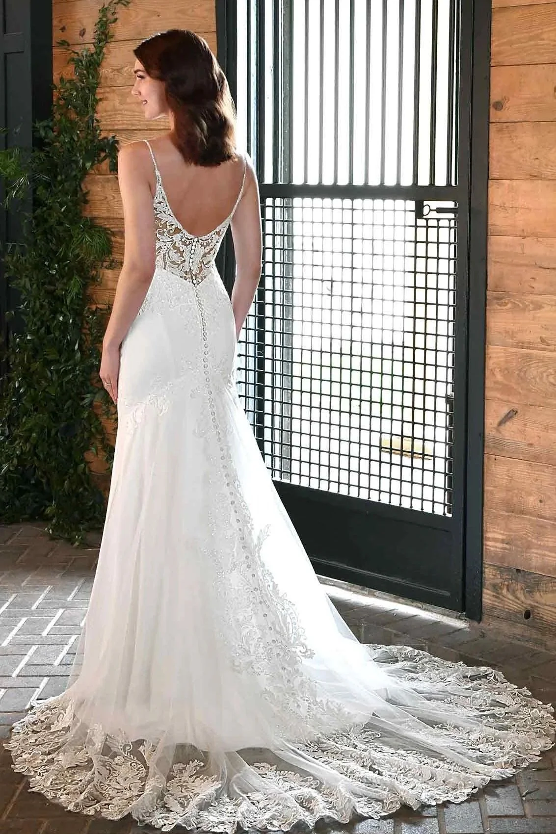 D3339+ - Image 2