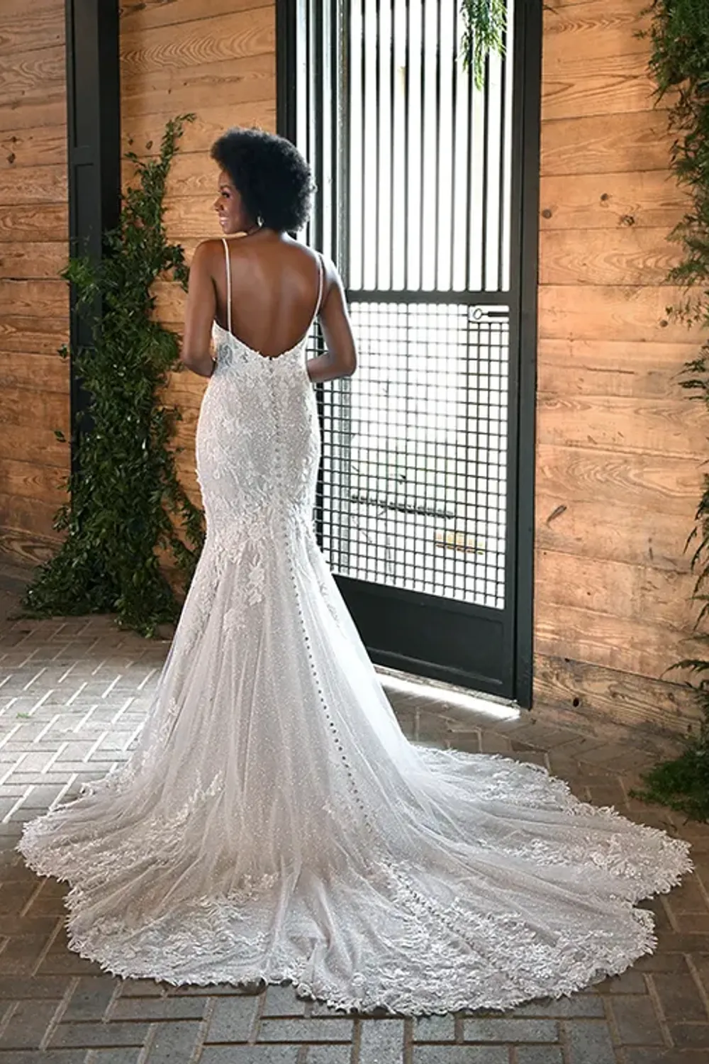 D3372 - Image 2