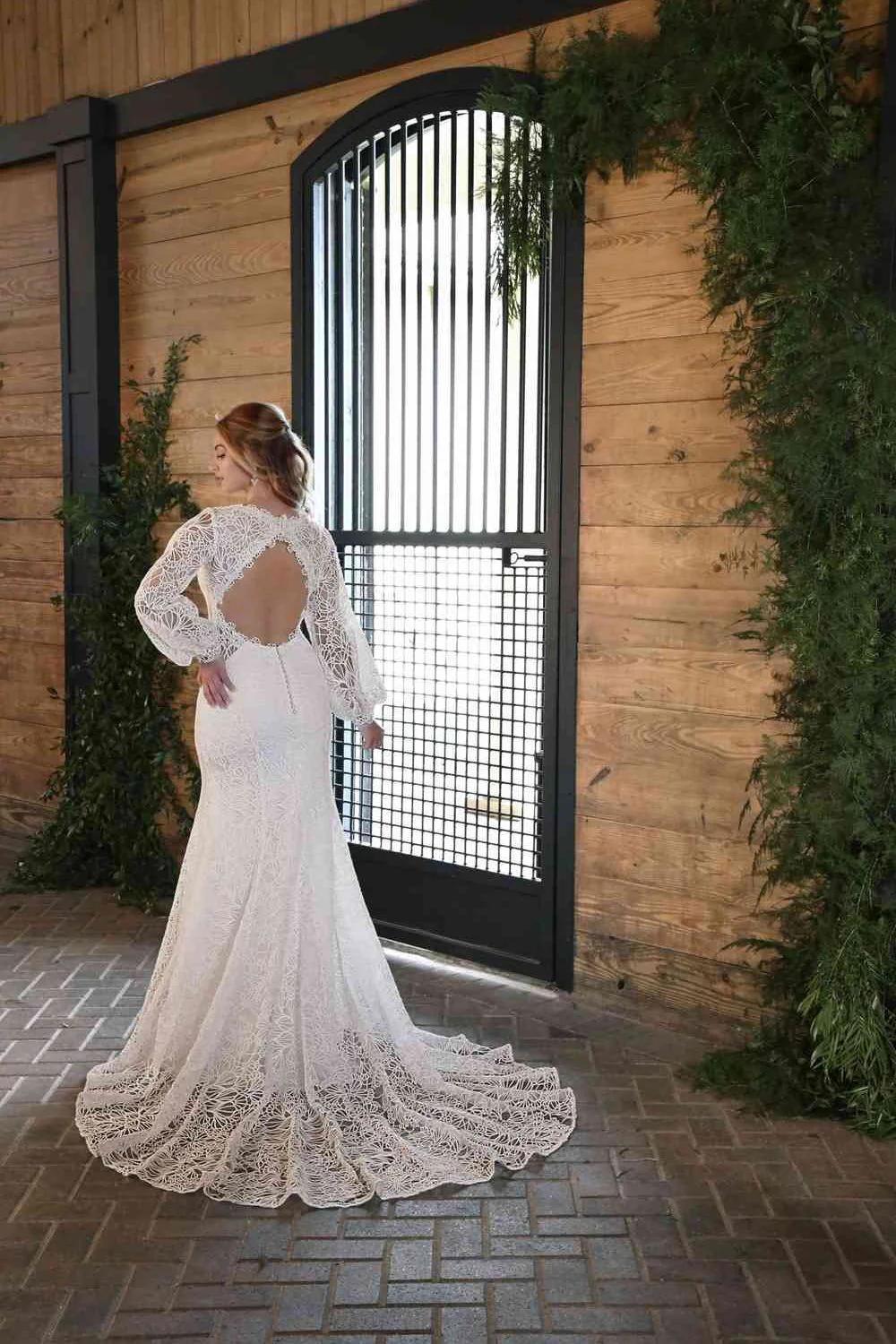 D3443 - Image 3