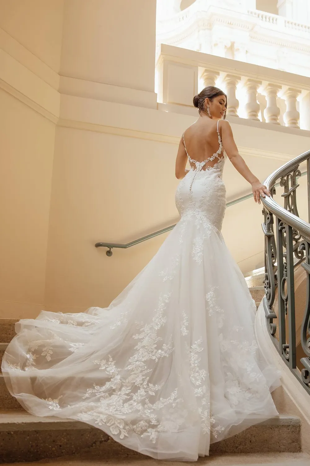 D3484 - Image 2