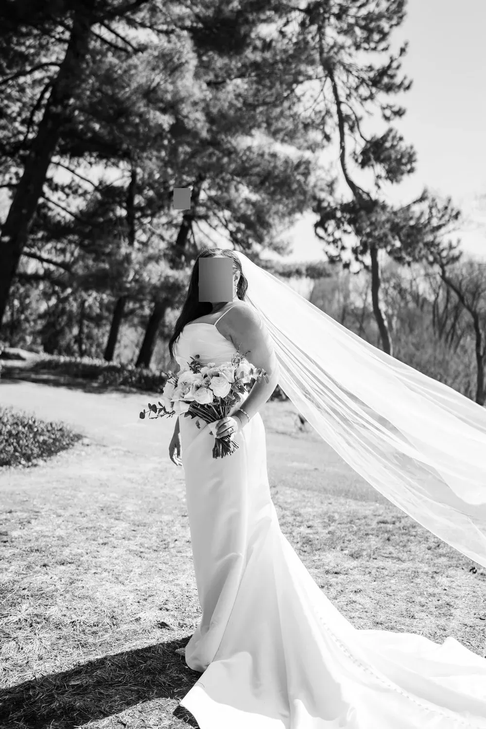 D3705 - Image 2
