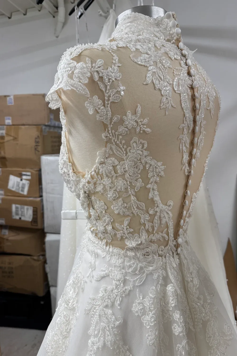 D3929 - Image 2