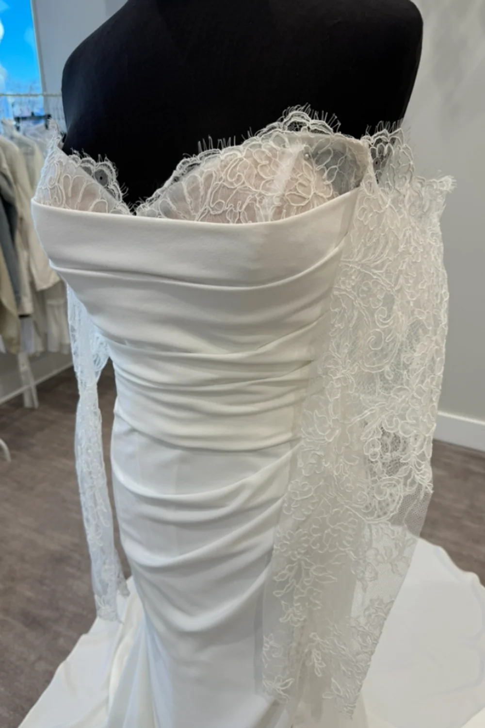 Daphne - Image 3