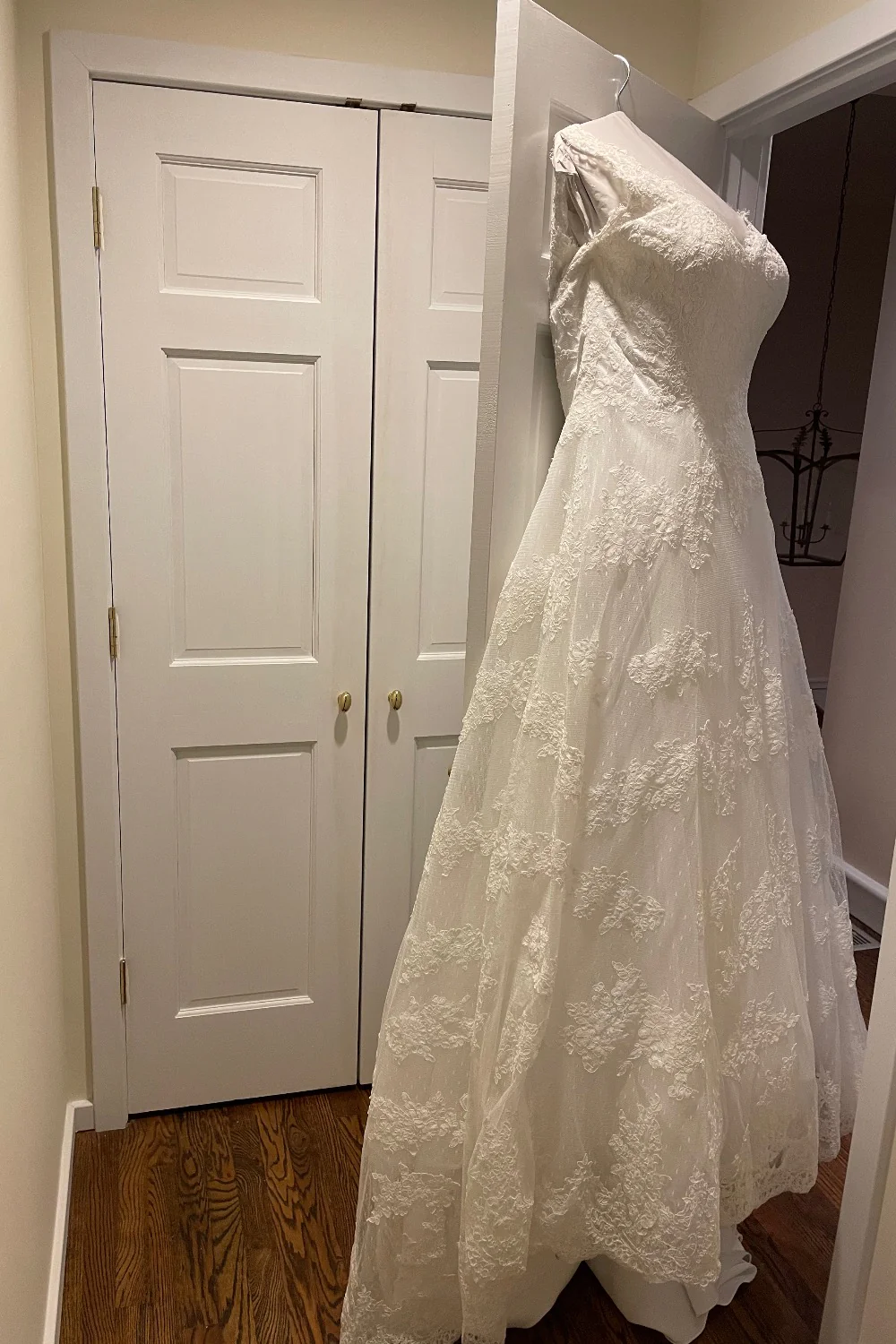 Delphine - Image 3