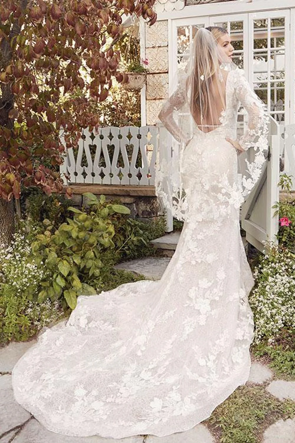 Devin 2492 - Image 4