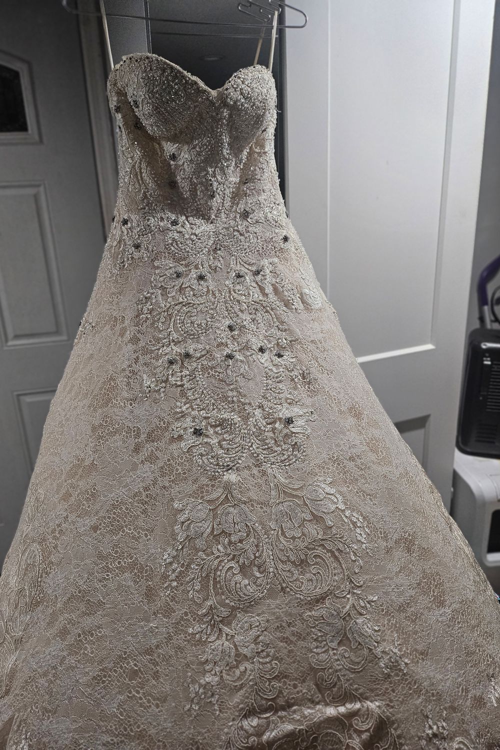C481 with Veil - Image 10