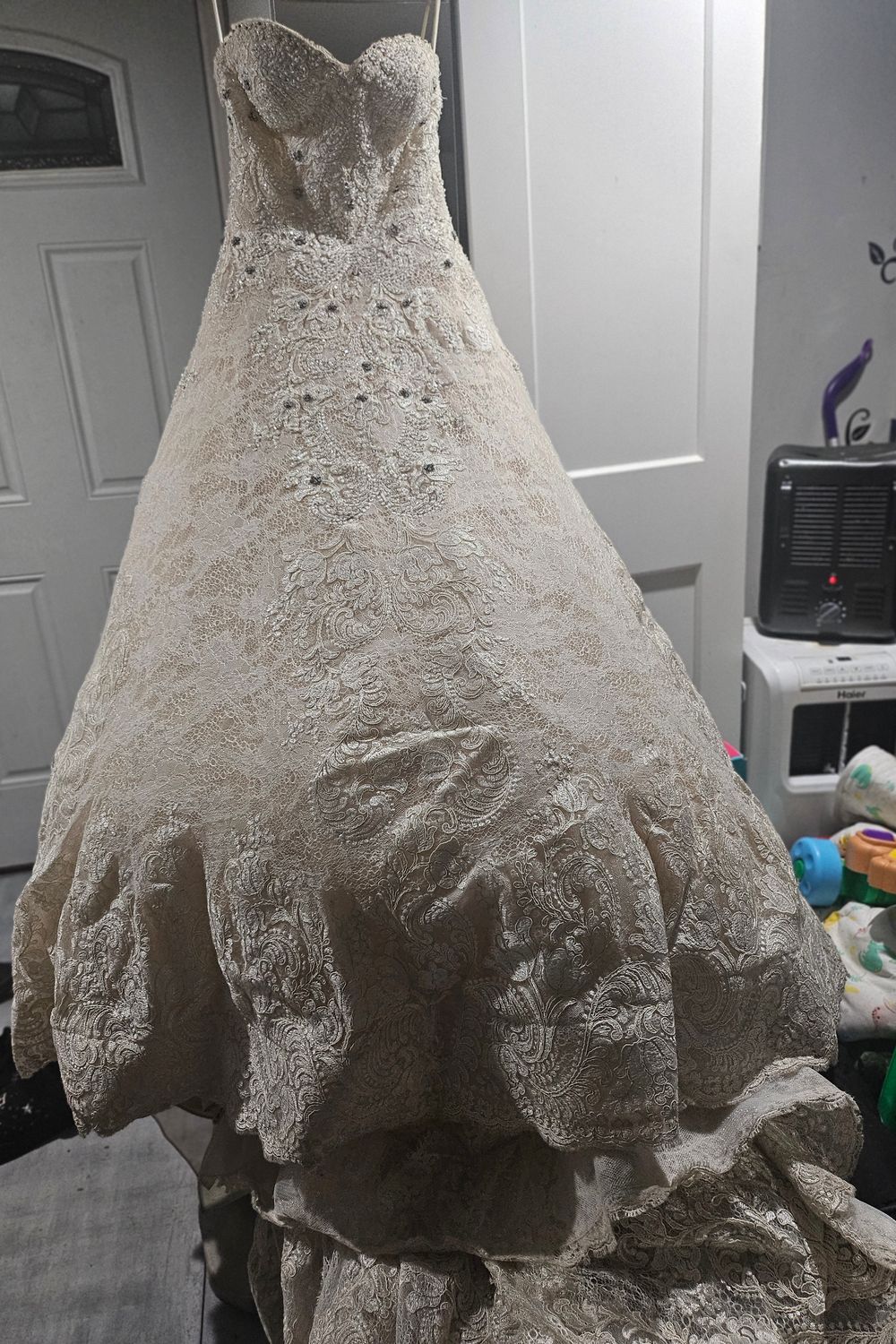 C481 with Veil - Image 12