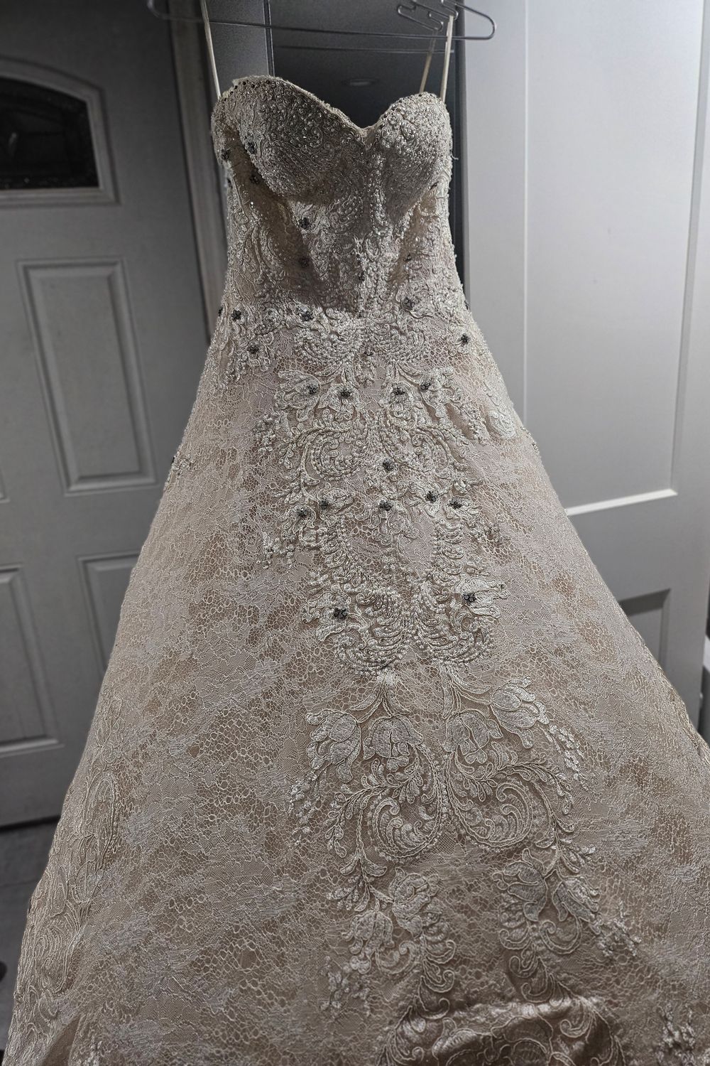 C481 with Veil - Image 7