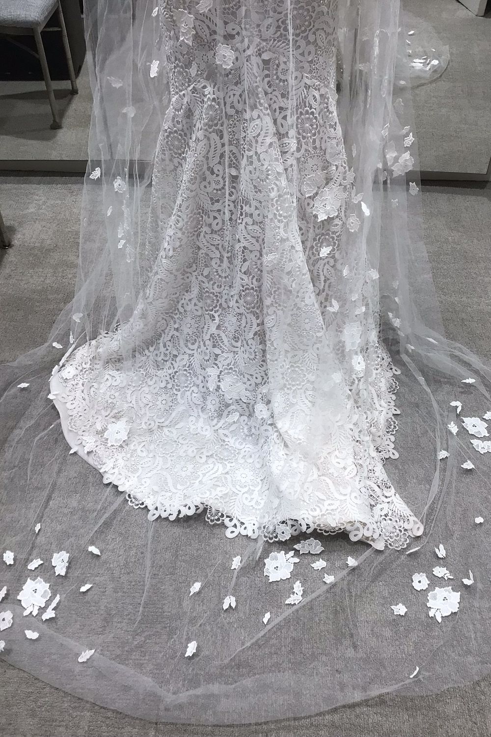 Sophia with Veil - Image 12