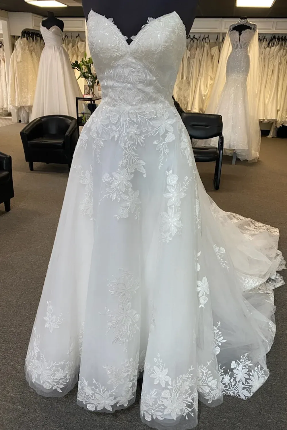 DR2215 ROMINA - Image 2