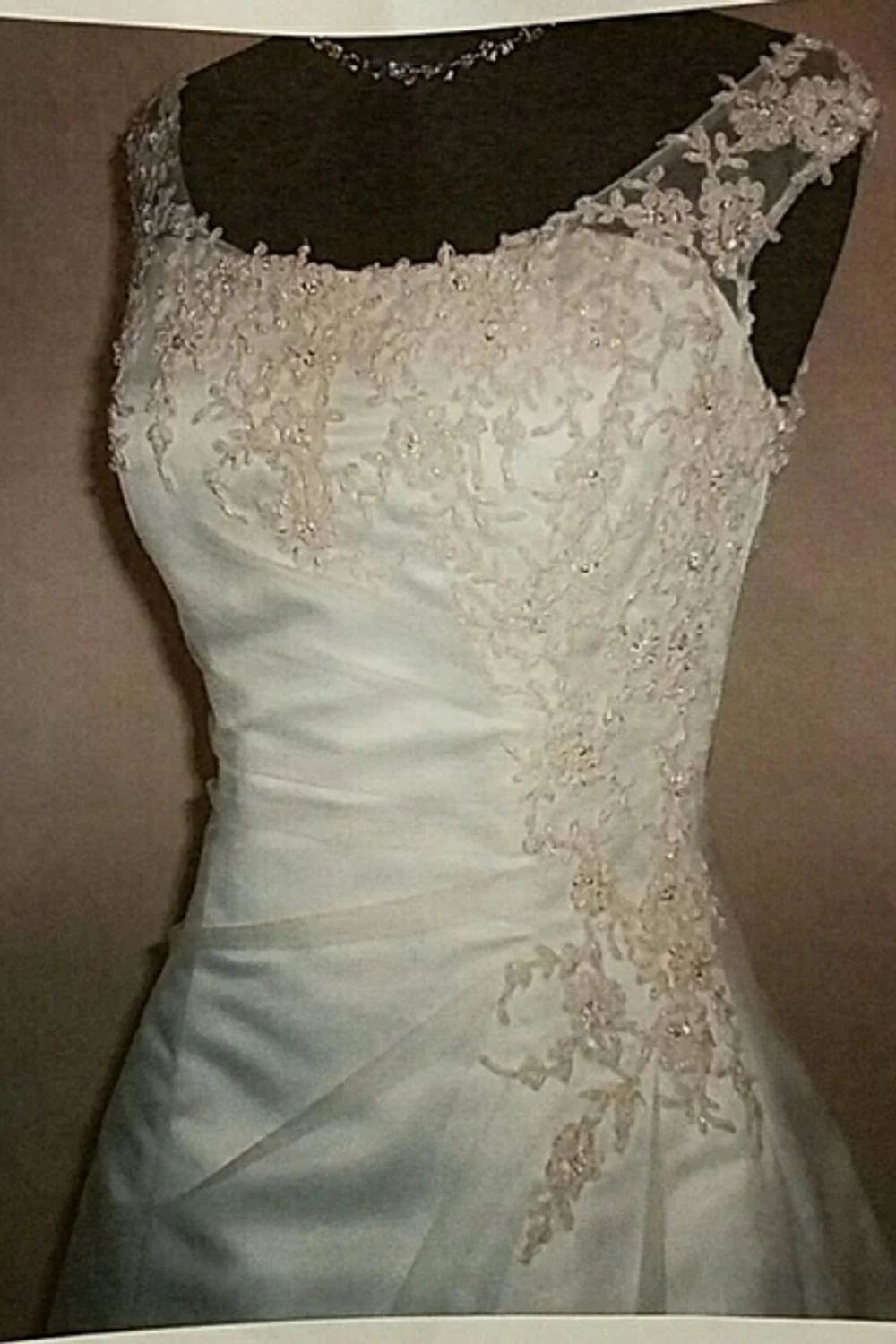 Eleganza - Image 4