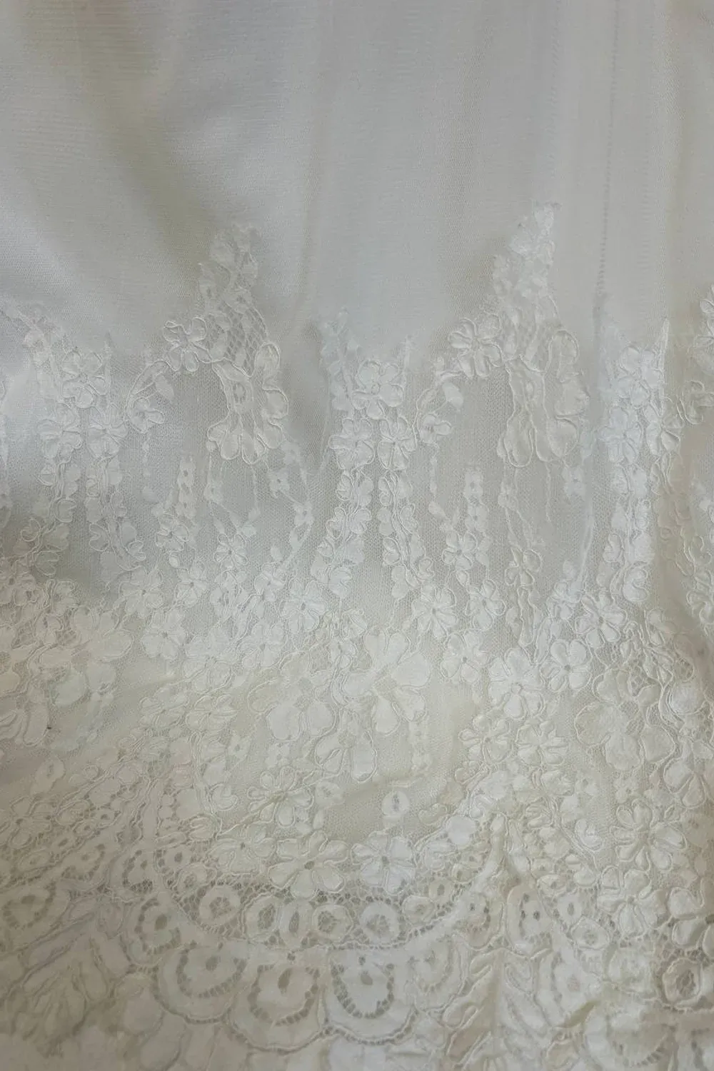 Evelyn - Image 6