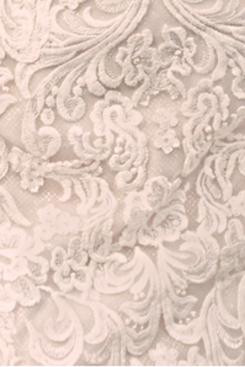 Fiona - Image 7