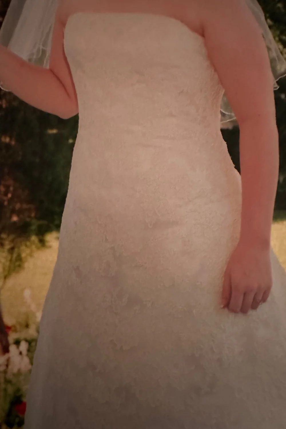 Ivory and Lace - Image 4