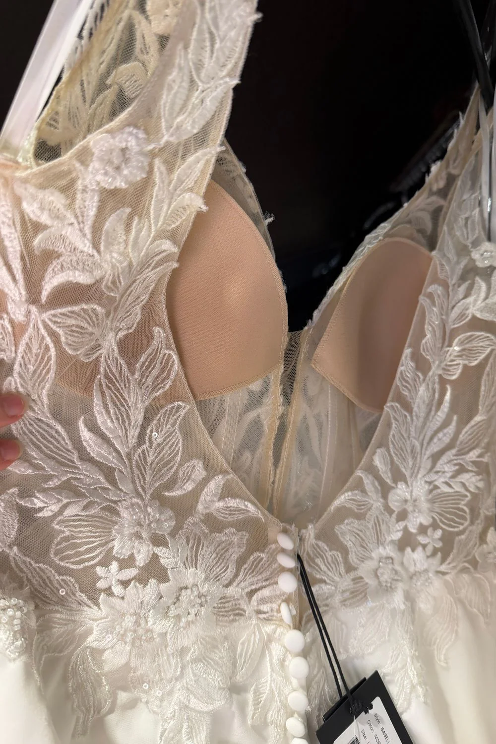 Isabella - Image 7